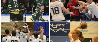 Största publikmatchen: Nu är Teg tillbaka - Publikligan i vinter, hockey, handboll, innebandy