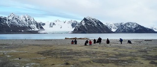 Uppdraget: Isbjörnsvakt på Svalbard