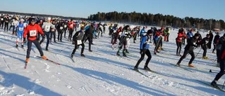 Skidlopp på isen från Luleå till Piteå