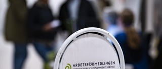 "Lägre skatter ger lägre arbetslöshet"