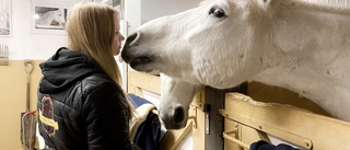 Mollie och mormor hänger med varandra i stallet