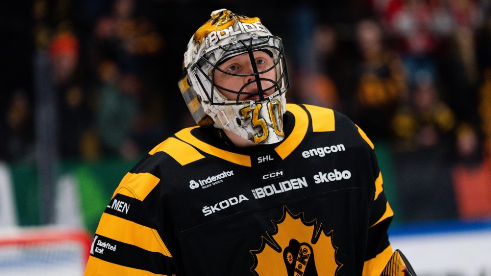 Förra säsongen fick Alexander Hellnemo sitt genombrott på seniornivå. Nu är han tillbaka i Skellefteå AIK efter en tung höstsäsong.