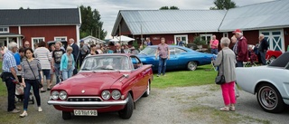 Höslaget i Avan - en 20-årig folkfest