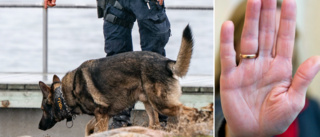 Hund lämnades in till polisen – blev genast omhändertagen av länsstyrelsen • Ägarens besked