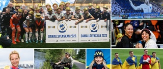 Sportens summering av året som gått – så var 2022 • Årets youtuber • Årets grannsamverkan • Läs hela listan här