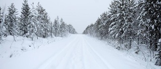 Gruvhöjdare fick vända utan möte med samebyar