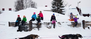 Bröt Tobaccotrail - satsar på VM