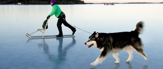 Den nya istiden i Luleå skärgård