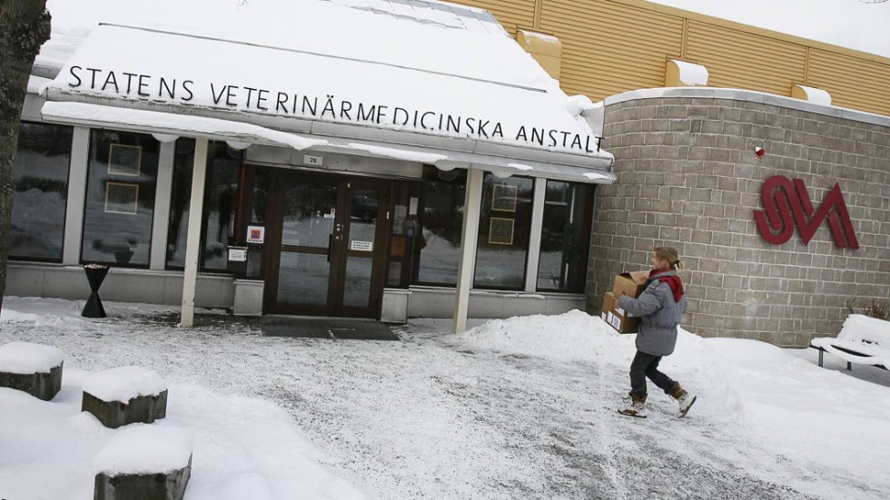 På Statens veterinärmedicinska anstalt, SVA, är personal redo att ta emot de fiskar som skickats fran Kalix kommun för analys. "Bara obduktion och provtagning kan visa vad det rör sig om och vad sjukdomarna består i", säger Anders Alfjorden vid  Statens veterinärmedicinska anstalt.