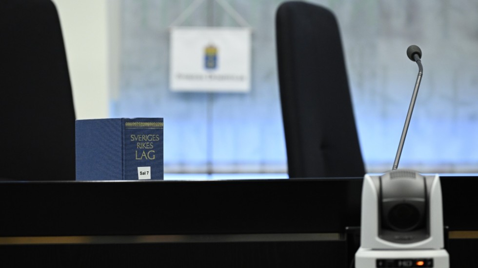 Även barn står listade med namn och fullständiga personnummer i mål som bland annat rör barnfridsbrott, enligt radion.
