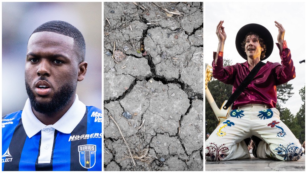 Se de rätta svaren för månadens nyhetsquiz.