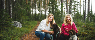 Donna och Ellie gör skillnad som sociala tjänstehundar 