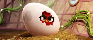 "Angry birds" till bioduken