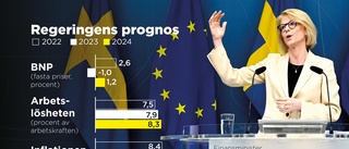 Svantesson: Lågkonjunktur i tre år