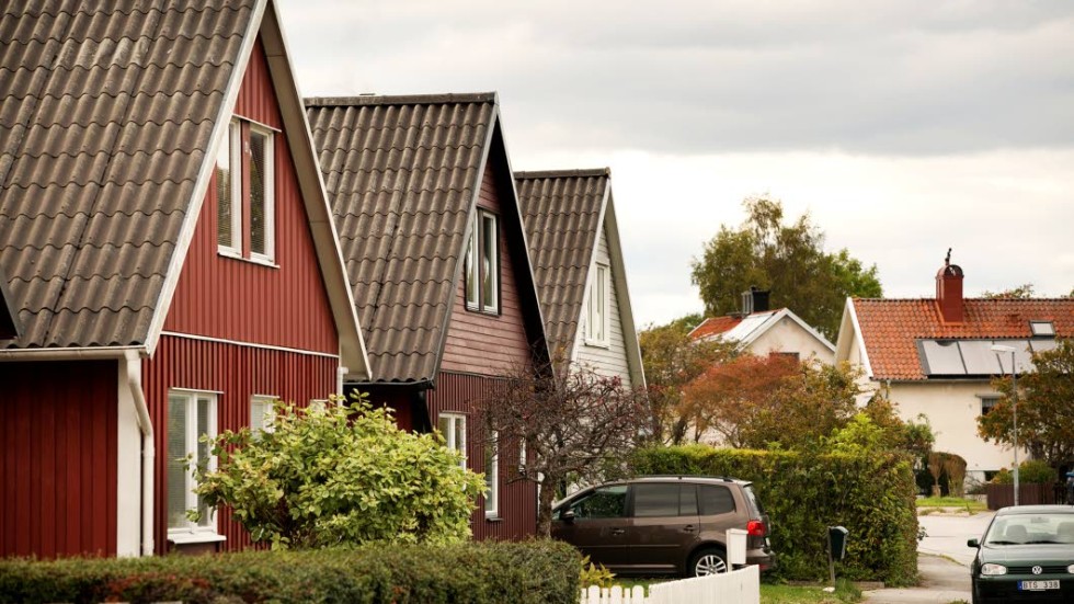 Hantverkaren hade sin hundvalp kopplad utanför villan han jobbade vid. Valpen skadades efter ett bråk med två förbipasserande hundar. Mannen blev ursinnig och han hotade att döda kvinnan som äger hundarna. (Arkivbild)