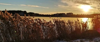 Härliga naturisar lockar