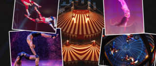 "Las Vegas-standard" circus comes to Skellefteå