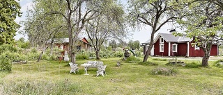 Gårdar och jättevåning lockade flest klick