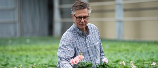 Han älskar pelargoner