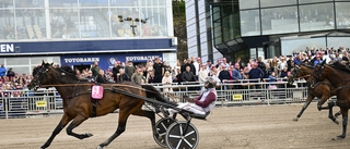 Hohneck vann Elitloppet: "Saknar ord"