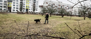 Få svar om Seminarieparkens framtid