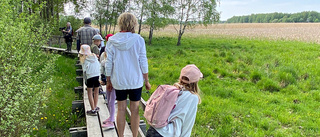 Om vi ska ha skolplikt får skolan inte urholkas mer