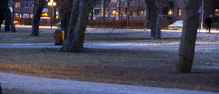 Man misshandlades i Stadsparken