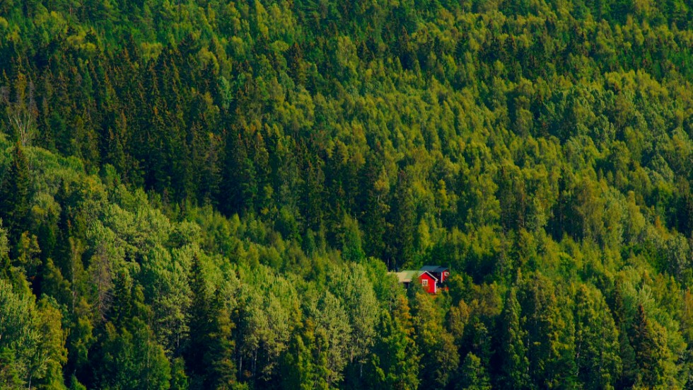 Genom att ha olika skattezoner skulle fler företag kunna lockas att etablera sig på landsbygden, och därmed skulle inflyttningen öka, menar skribenten.