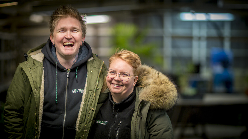 Paret Markus och Izabella Wikström ligger bakom företaget Grönväxtriket, som tar över Valla handelsträdgård.