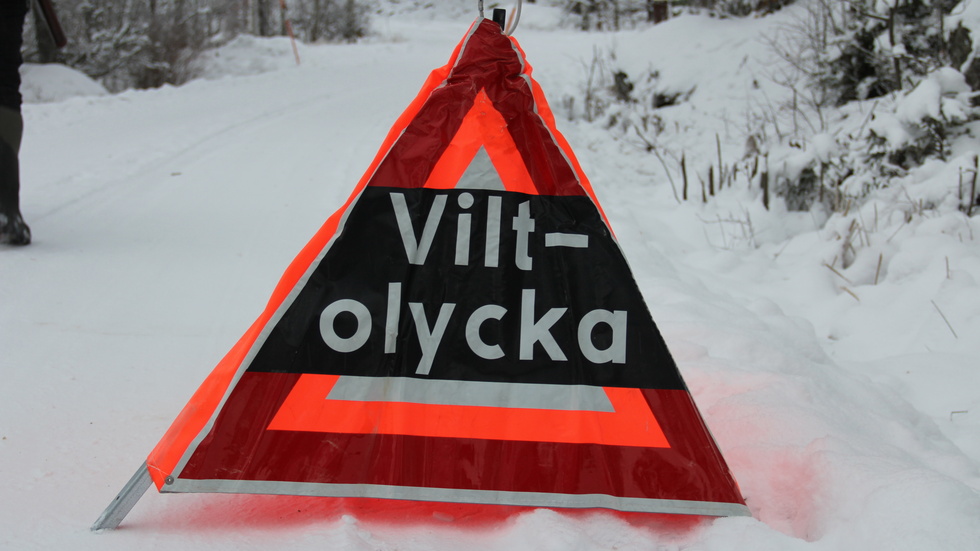 En personbil kolliderade med flera renar vid 02-tiden natten mot juldagen. (Arkivbild)