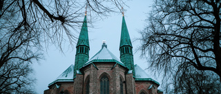 Misstänkt vapenman gripen av polis – inne i domkyrkan