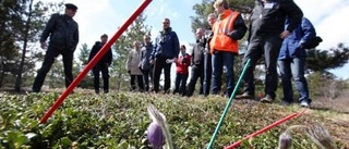 Biologer och tekniker möttes vid nipsipporna