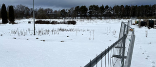 Hjärtlöshet och omfattande okunskap