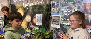 Snacks runt grönsaksbord på skolan: "Våga prova"