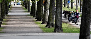 Påkörd 90-åring avled