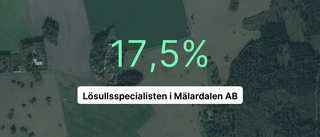 Årsredovisningen klar: Så gick det för Lösullsspecialisten i Mälardalen AB