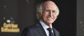 "Curb your enthusiasm" tillbaka i februari