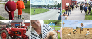 Populär skördefestival vållade enorm bilkö