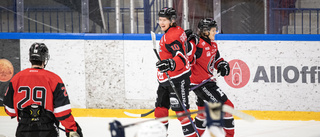 Se Piteå Hockeys match mot Nyköping – nedsläpp 16.00