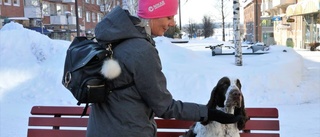 Djurägare rasar mot höga veterinärkostnader