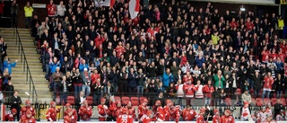 Hästens allsvenska plan: "Det handlar om att njuta, ha fötterna på jorden och nyttja läget"