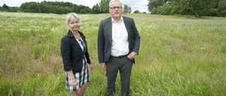 Växande planer på Händelö