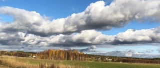 Hösten är här nu, och naturen byter färg