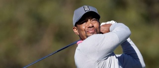 Woods – en Tiger med nio liv