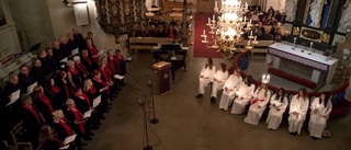 Tänt vare här för Piteås lucia