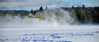 Helikopter inkallad för att rädda älgarna