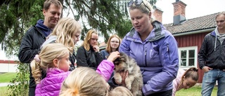 Djurmysigt på Grandagen