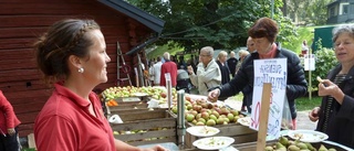 Succé igen för höstmarknaden