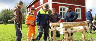 En byggnadskonst på väg att dö ut