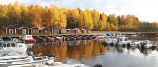 Läsarbilden: Snart dags att ta upp båtarna